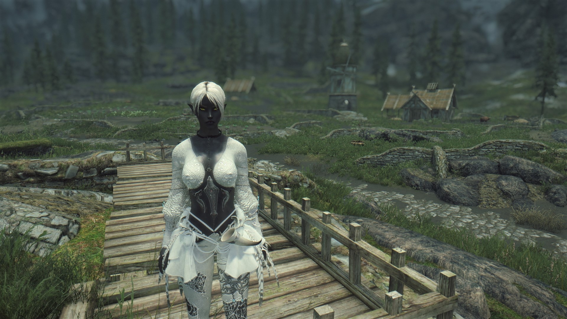 Skyrim Femboy Race